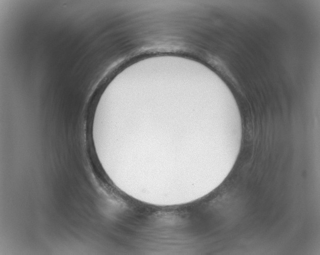 X0000055510534200508120758