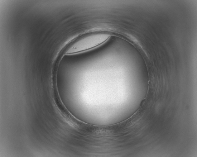 X0000055510535200508120758