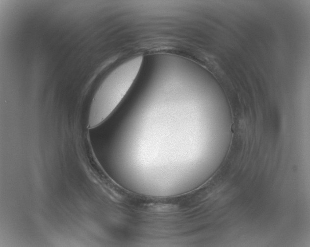 X0000055510539200508120758