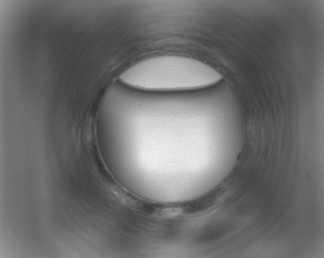 X0000055510554200508120758