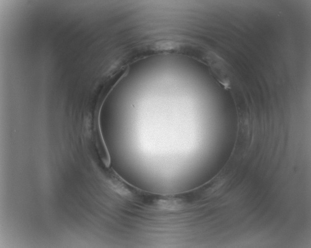 X0000055510556200508120758