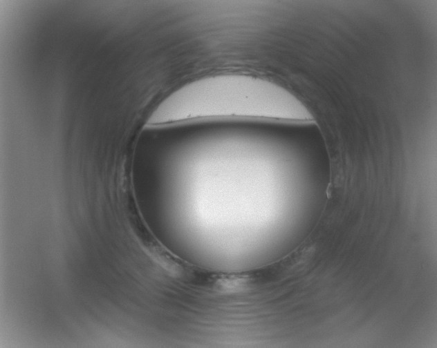 X0000055510560200508120758