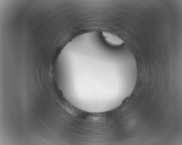 X0000055510563200508120758