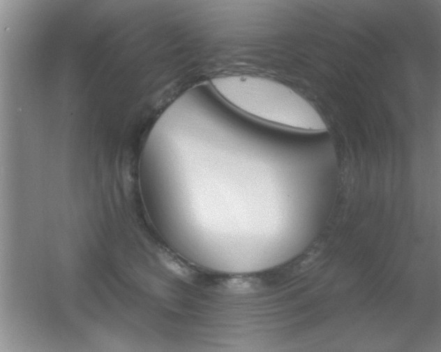 X0000055510566200508120758