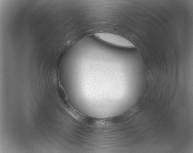 X0000055510568200508120759
