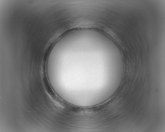 X0000055510586200508120758