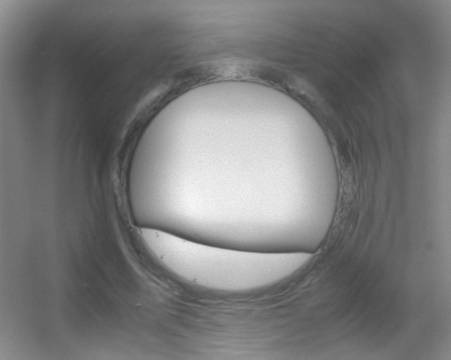 X0000055510587200508120758