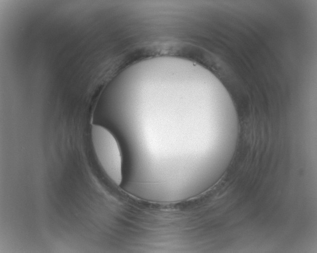 X0000055510594200508120758