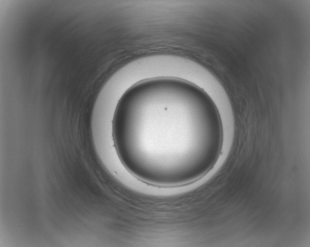 X0000055510599200508120757
