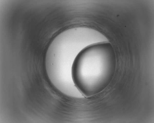 X0000055510600200508120757