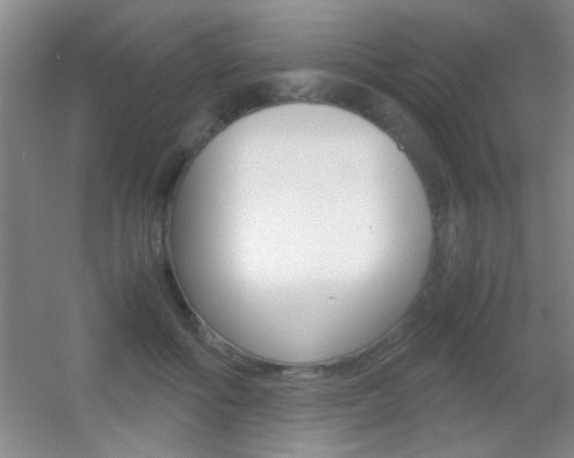 X0000055510602200508120757
