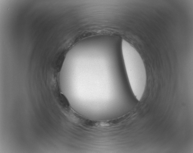 X0000055510607200508120757