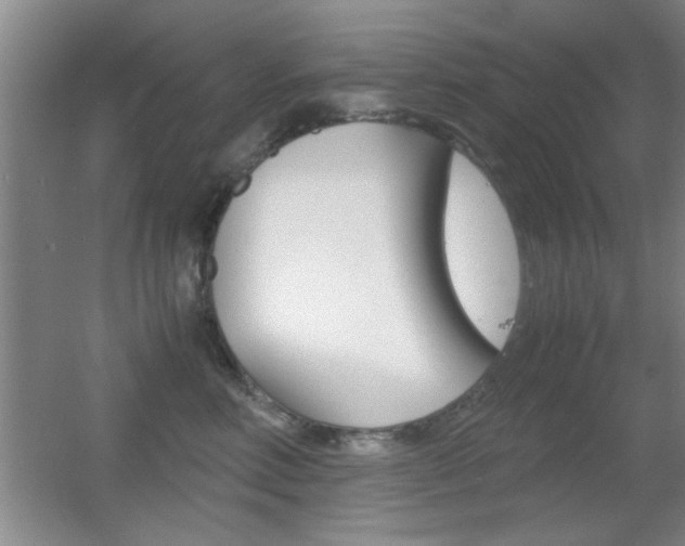X0000055510618200508120757