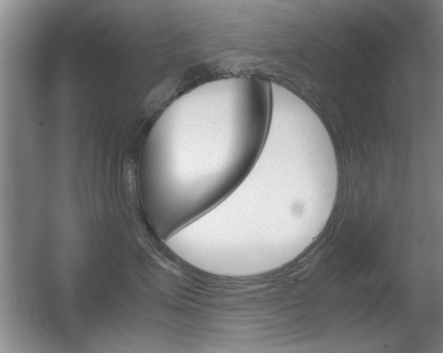 X0000055510623200508120757