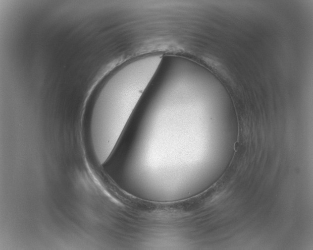 X0000055510630200508120756