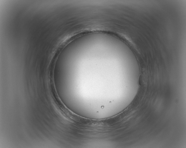 X0000055510631200508120756