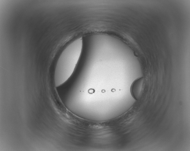 X0000055510635200508120756