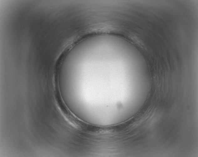 X0000055510638200508120756