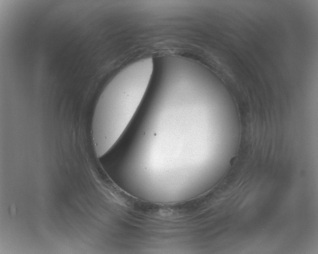 X0000055510641200508120756