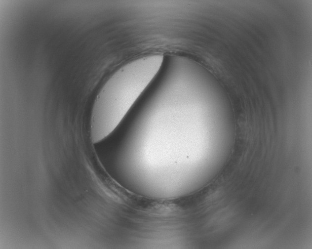 X0000055510642200508120757