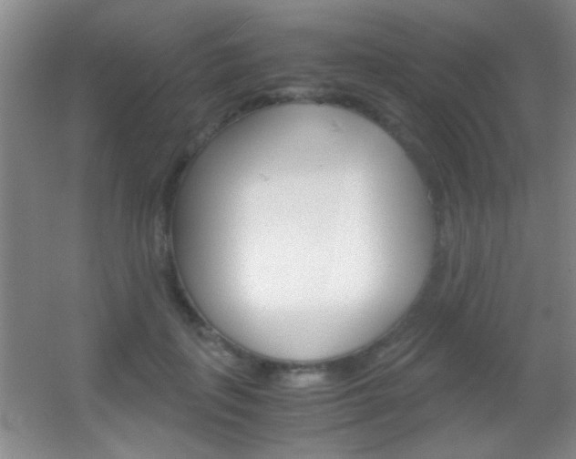 X0000055510651200508120757