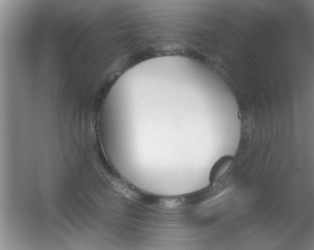 X0000055510662200508120757