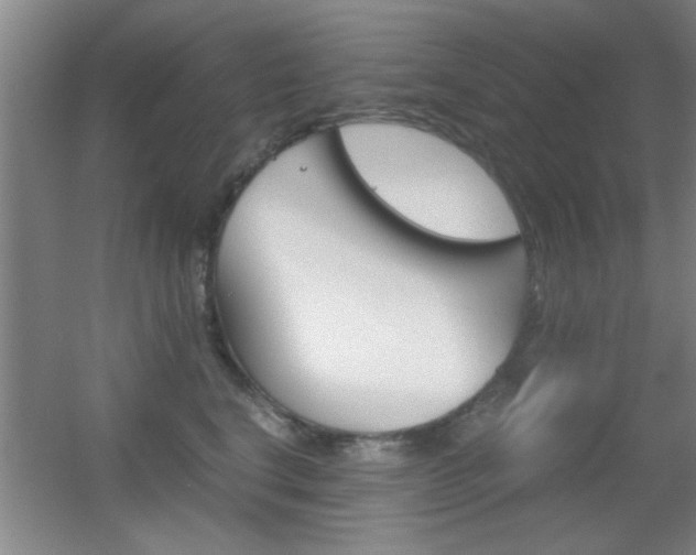 X0000055510664200508120757