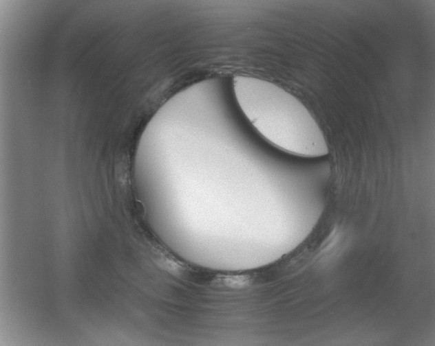 X0000055510665200508120757
