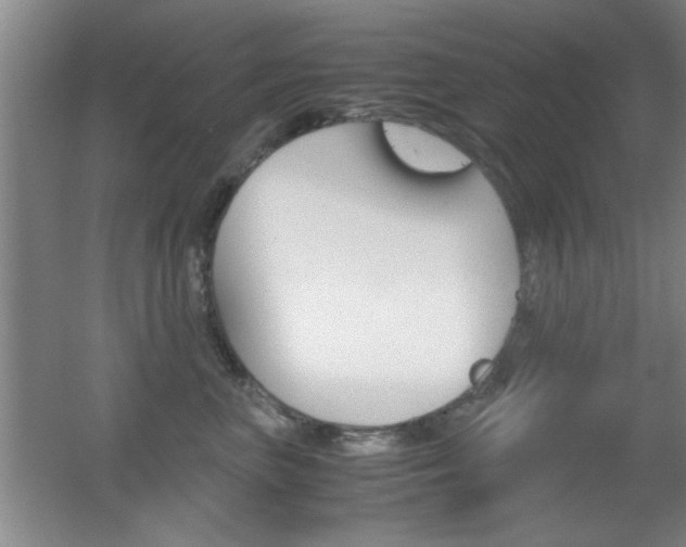 X0000055510667200508120757