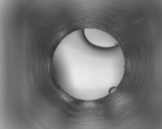 X0000055510668200508120757
