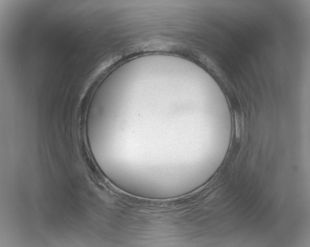 X0000055510675200508120756
