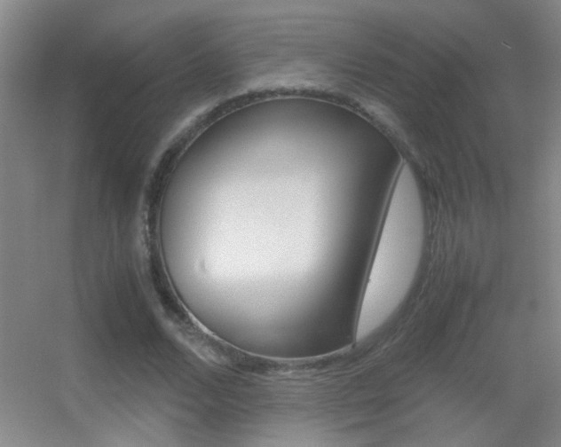 X0000055510680200508120756