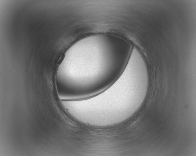 X0000055510681200508120756