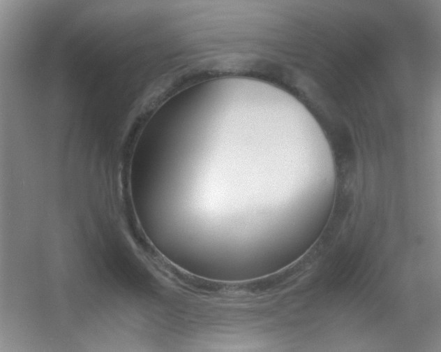 X0000055510685200508120756