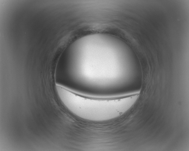 X0000055510689200508120756