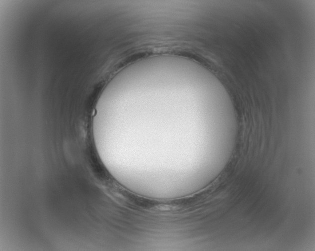 X0000055510691200508120756