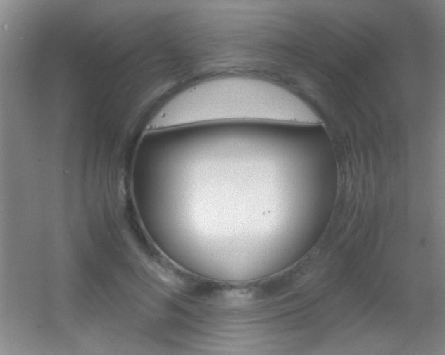 X0000055510692200508120756