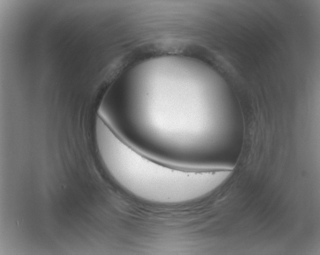 X0000055510693200508120756