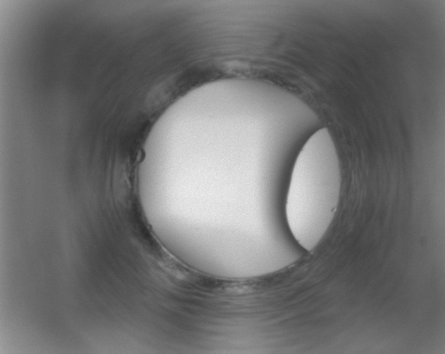 X0000055510702200508120756
