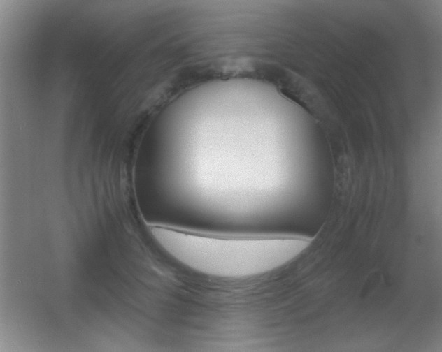 X0000055510704200508120756
