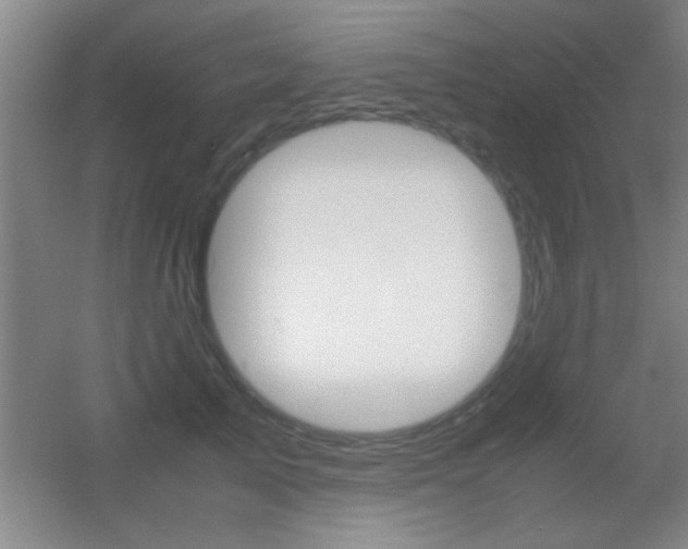 X0000055510705200508120756