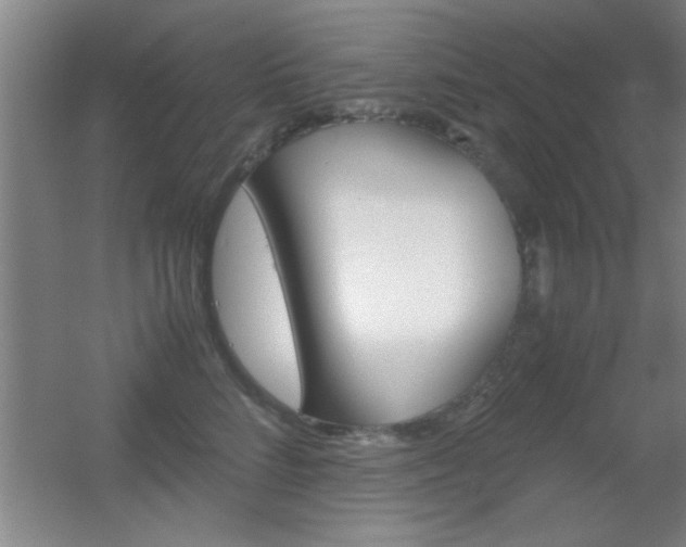 X0000055510712200508120756