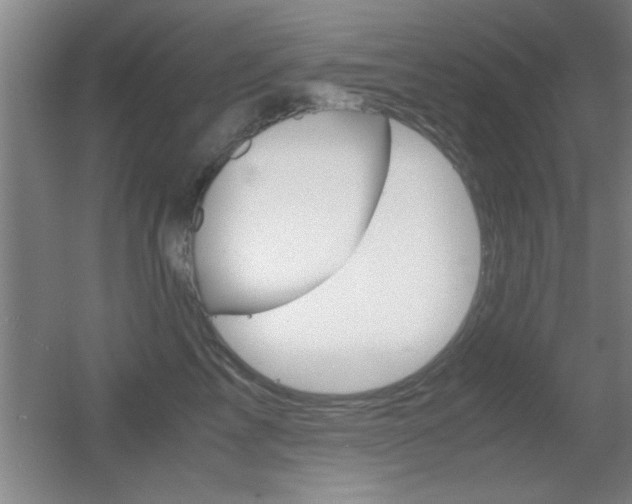X0000055510713200508120756