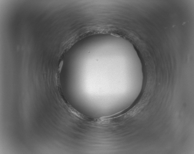 X0000055510720200508120755