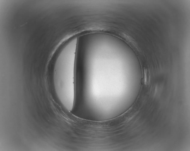 X0000055510723200508120755