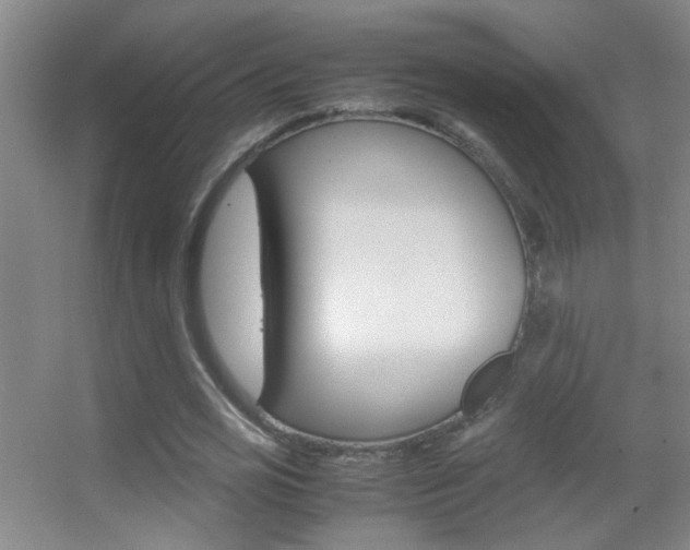 X0000055510725200508120755
