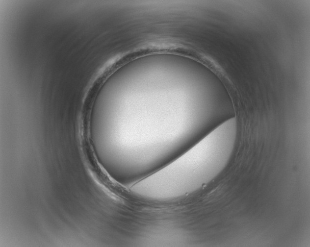 X0000055510726200508120755