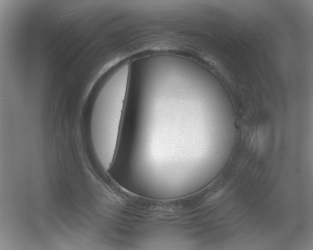 X0000055510727200508120755