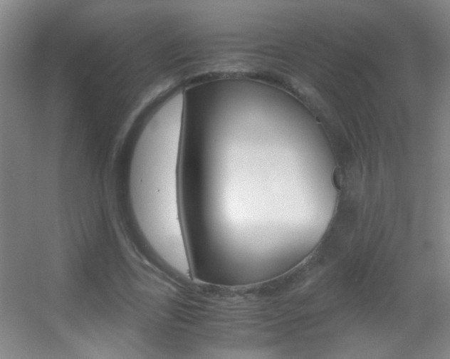 X0000055510731200508120755