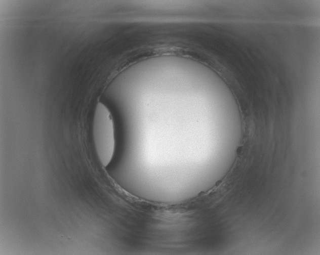 X0000055510737200508120755